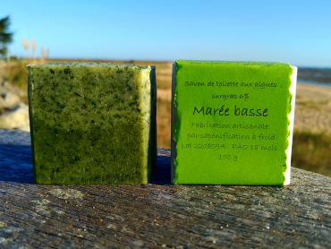 Marée basse 1 20221008