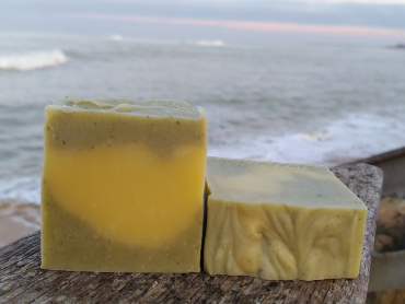 tea tree 2 P_20200212_182111 b